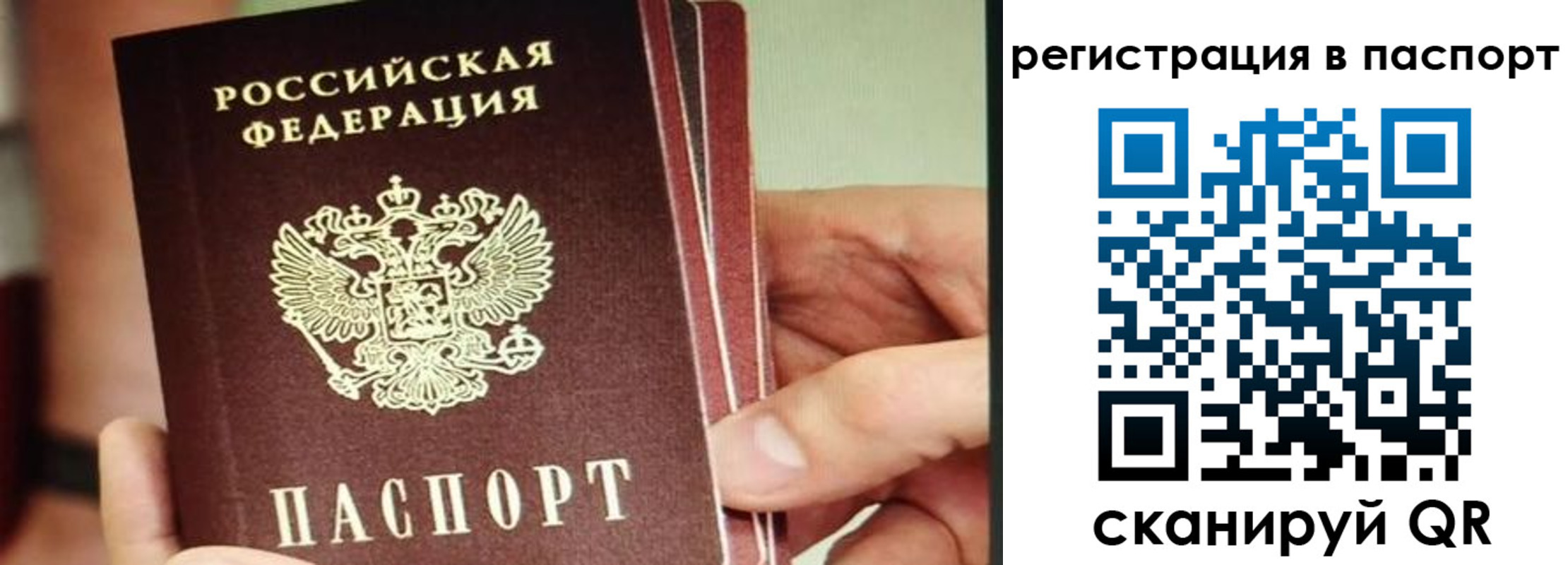 временная регистрация надежно в Приморском крае